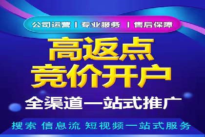 百度竞价优化技巧：成功案例分享